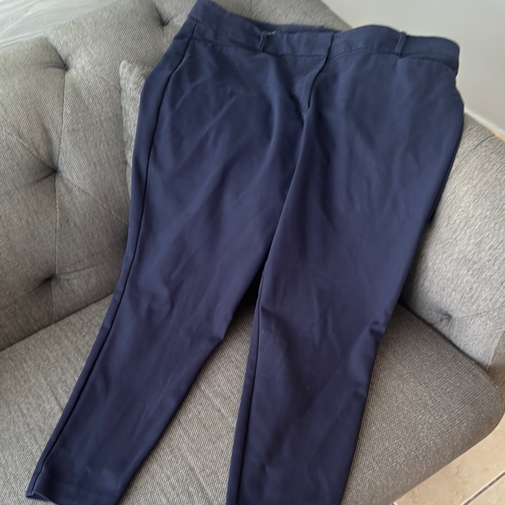 LOFT Plus Midnight Blue Skinny Pants